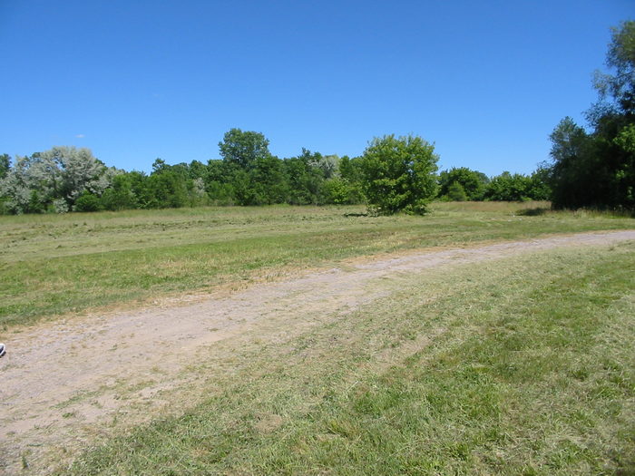 Auto Theatre - July 2002 Photo